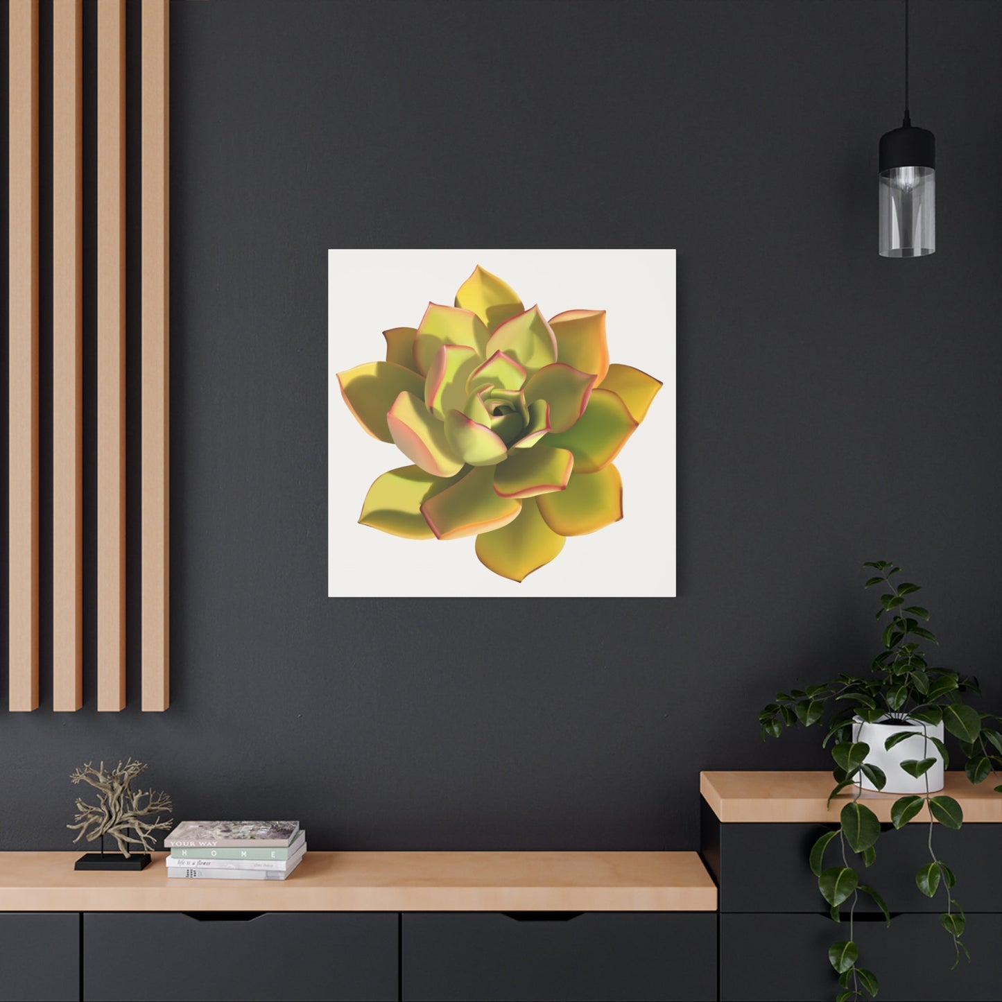 Noble Aeonium Succulent Canvas Print – Botanical Wall Art