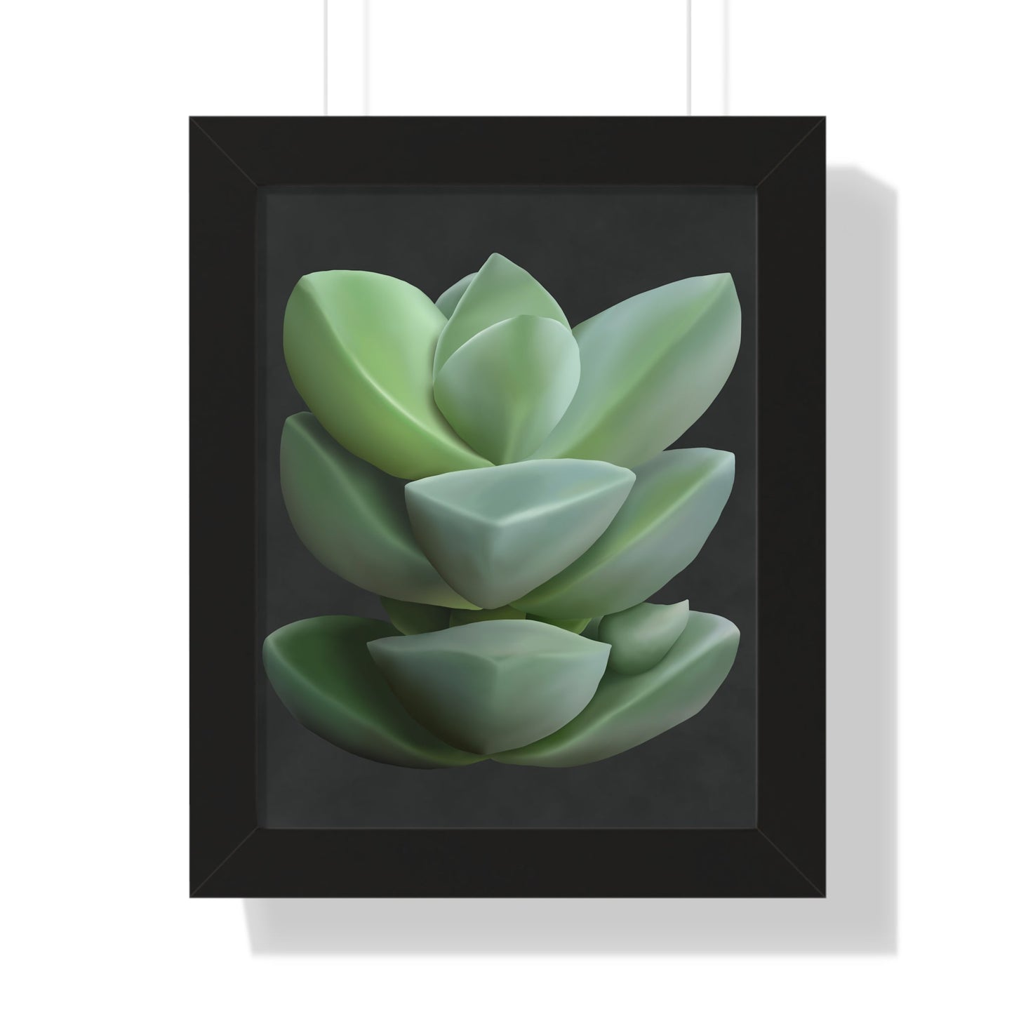 Crassula Framed Print – Botanical Wall Art