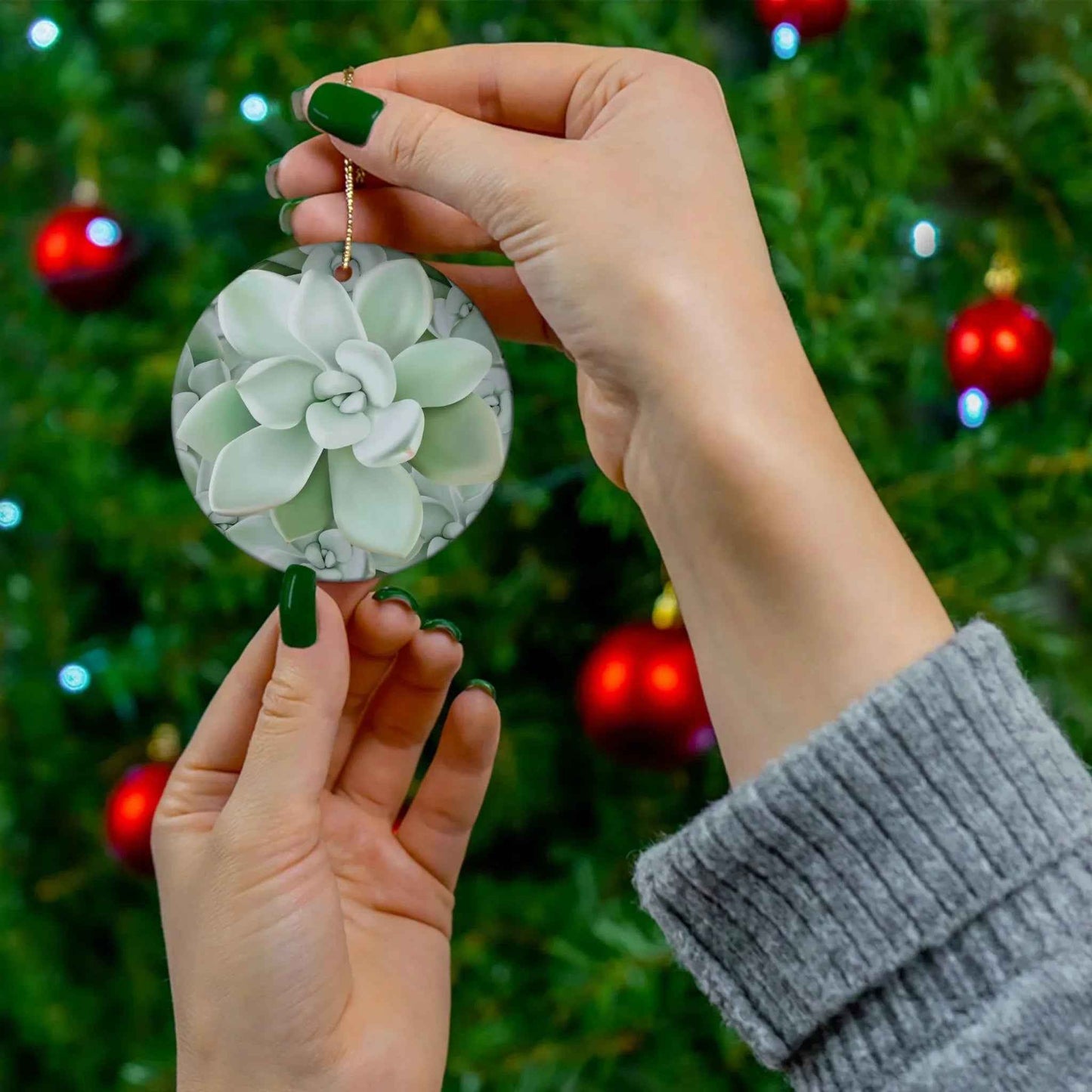 Pachyveria Haagei Succulent Ceramic Ornament – Blue Pastel Rosette