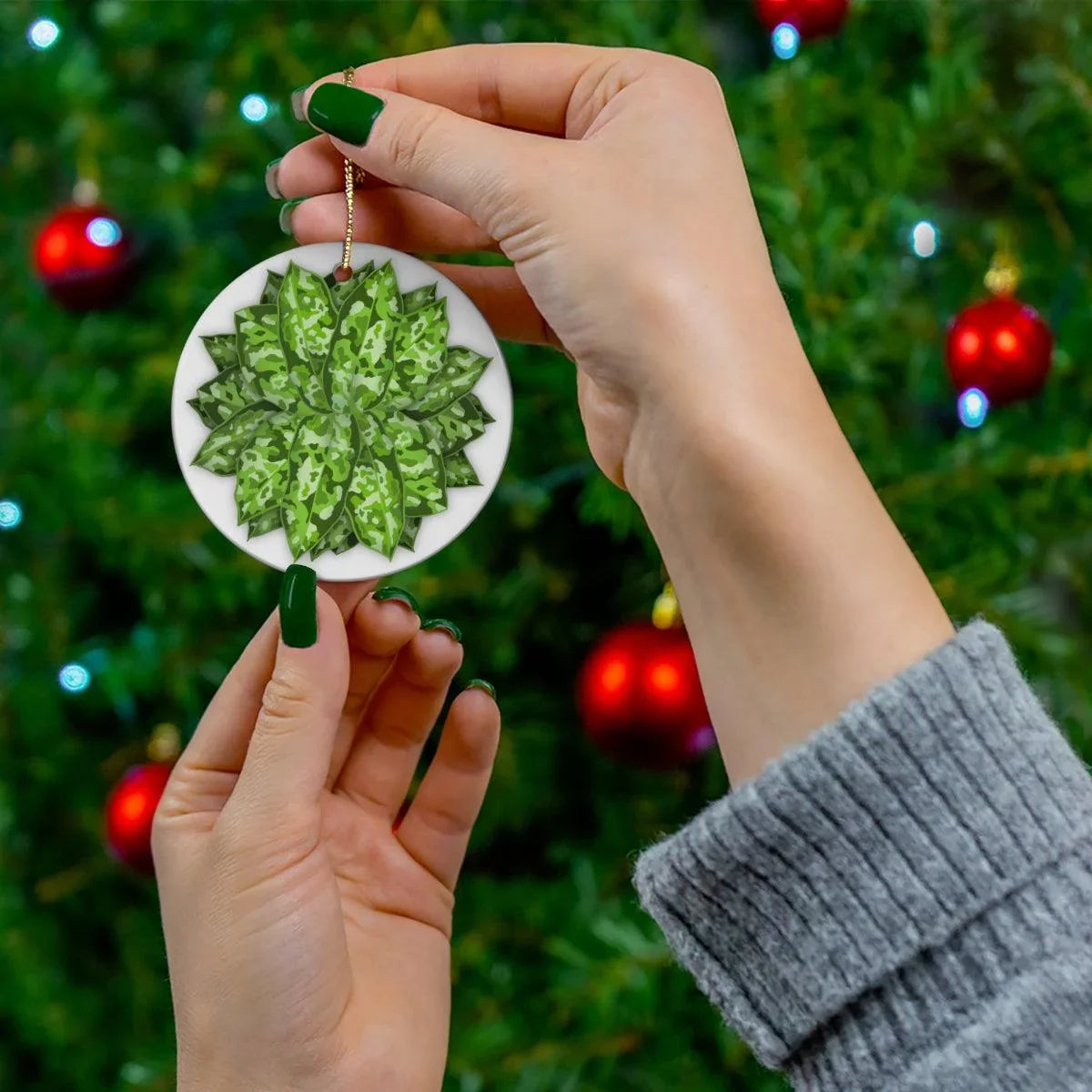 Aglaonema Pictum Ceramic Ornament