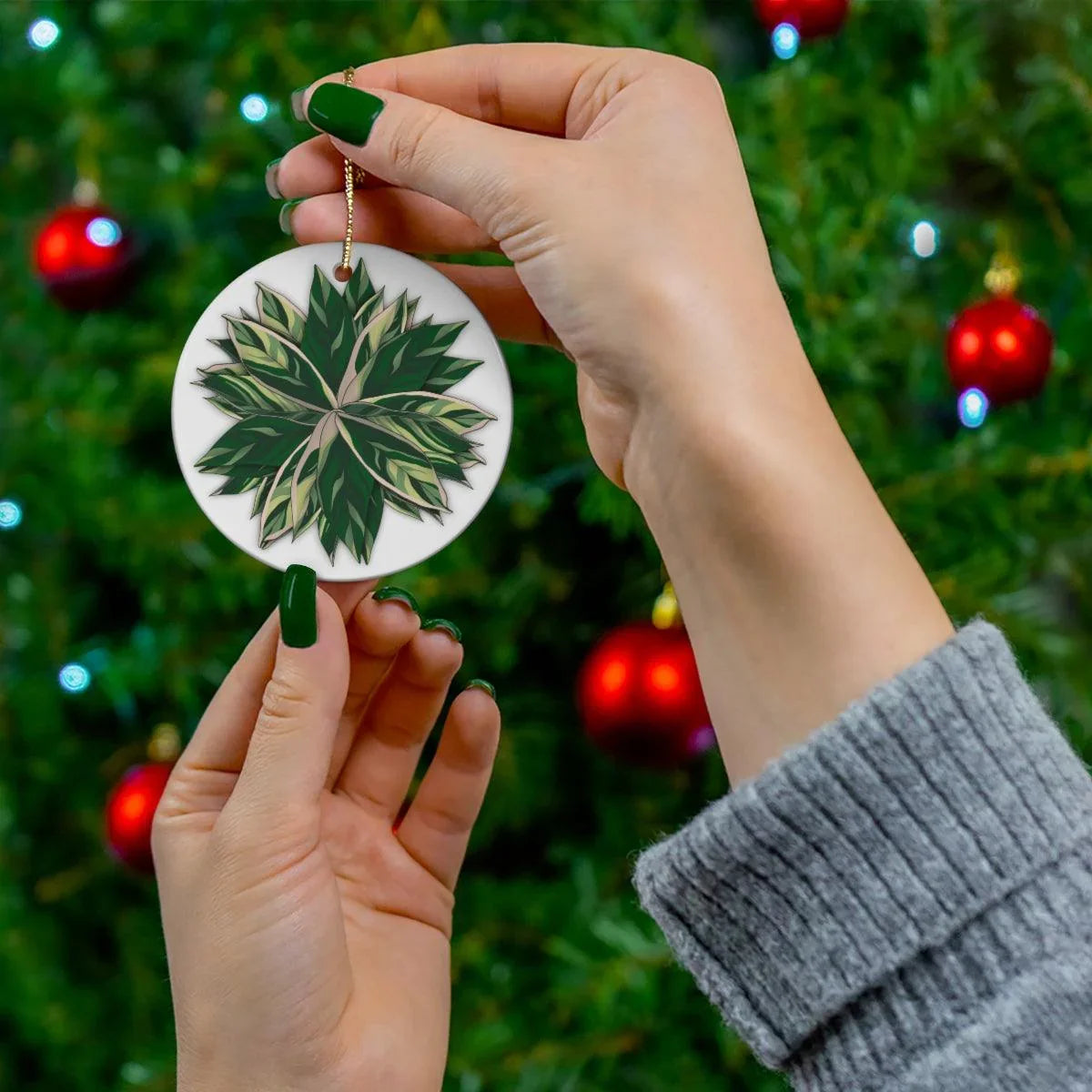 Stromanthe Triostar Ceramic Ornament