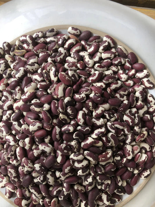 Adobe Milling Company ANASAZI beans 2 lbs.
