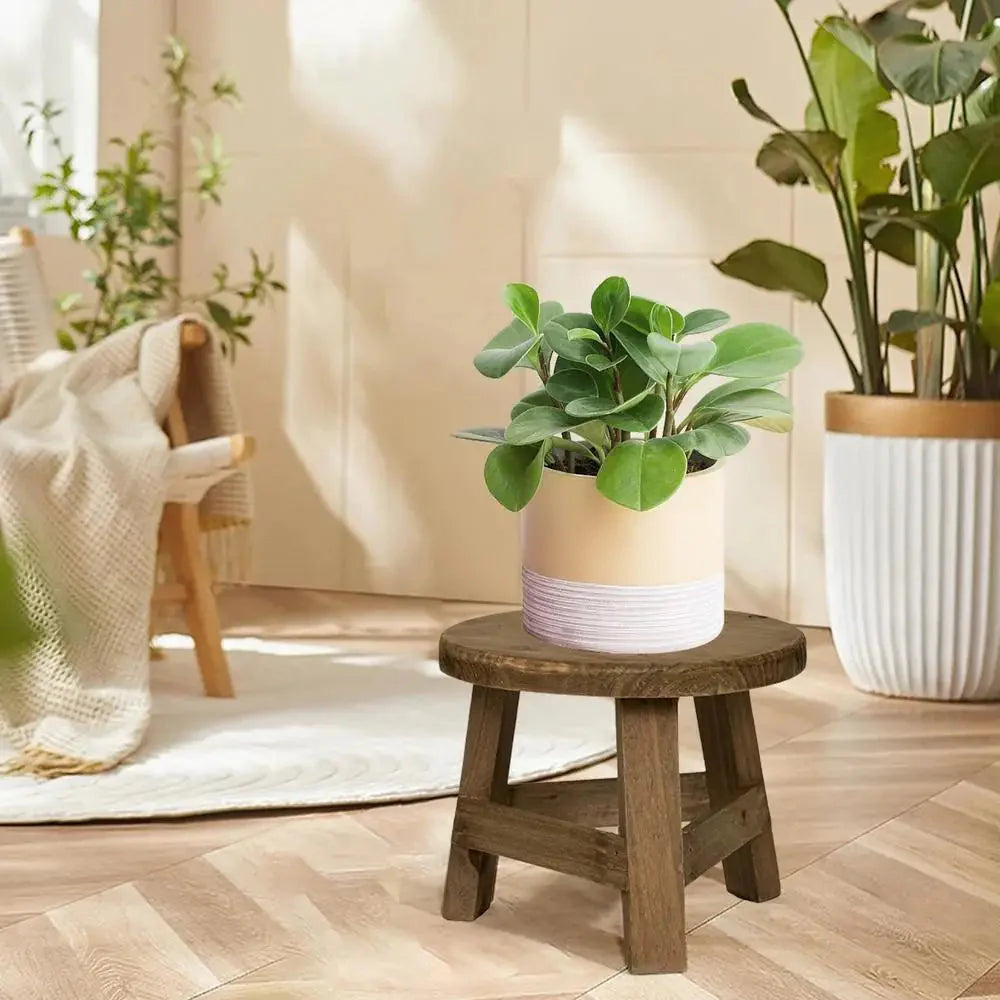 Wooden Stool Plant Stand Mini Kid Stool Fishing Wooden Stool Flower Shelf Bonsai Rack Interior Decoration Kitchen Small Bench