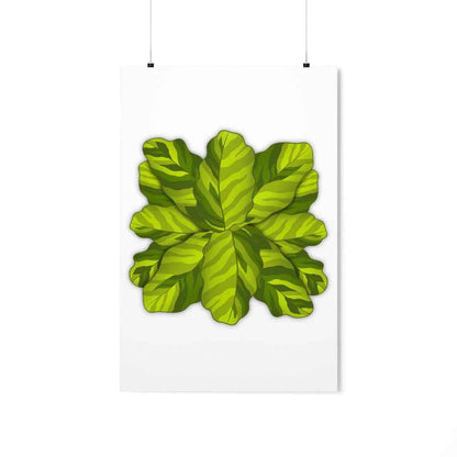 Calathea Yellow Fusion Botanical Print – Unframed Wall Art