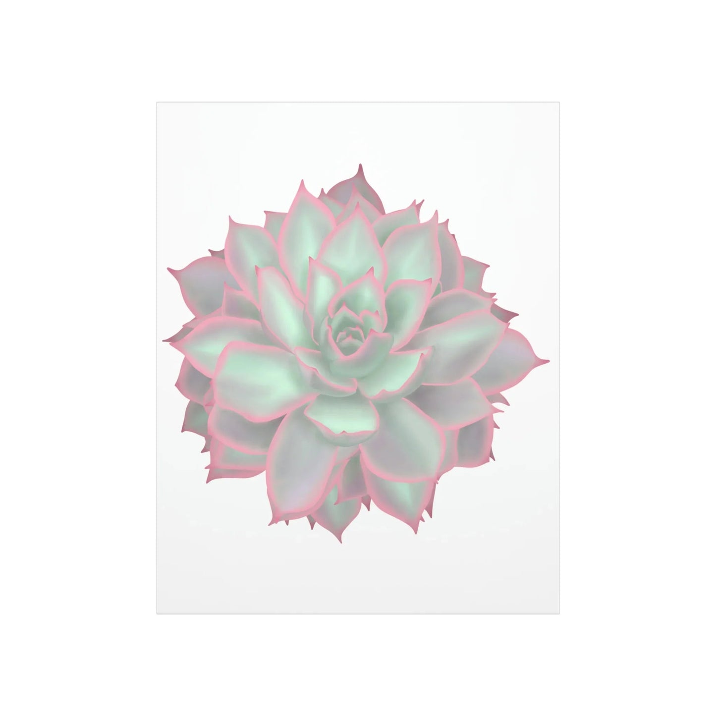 Echeveria Violet Queen Succulent Botanical Print – Unframed Wall Art
