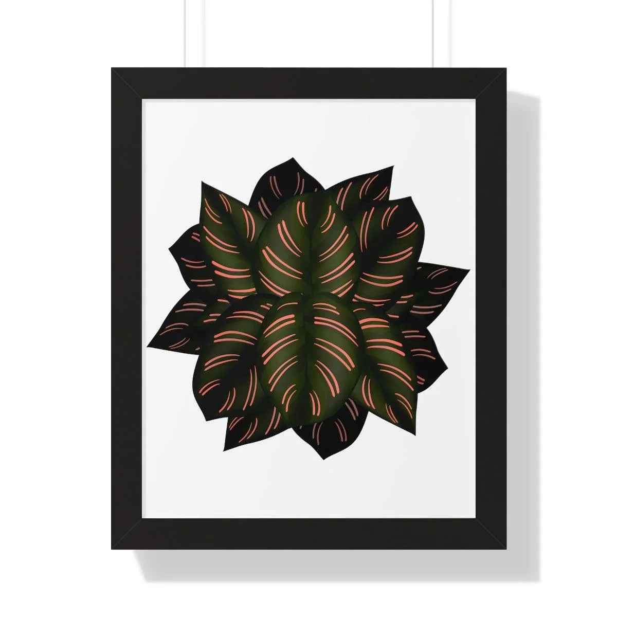 Calathea Pinstripe Framed Print – Botanical Wall Art