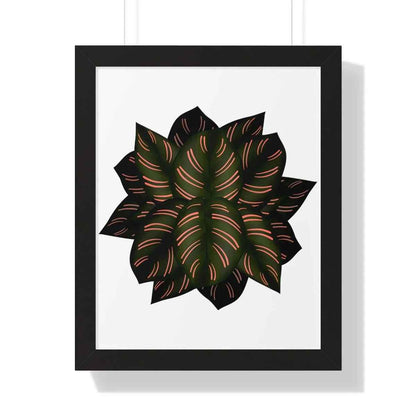 Calathea Pinstripe Framed Print – Botanical Wall Art