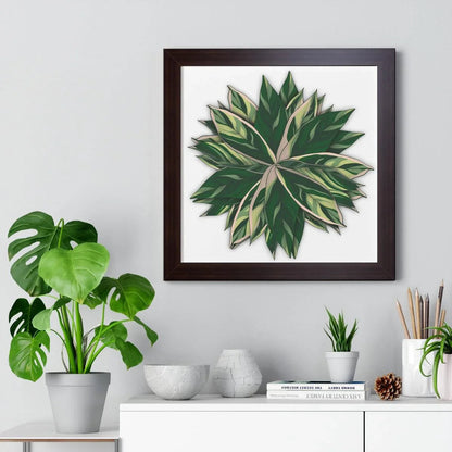 Stromanthe Triostar Framed Print – Botanical Wall Art