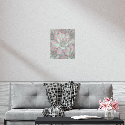 Echeveria Violet Queen Succulent Pattern Botanical Print – Unframed Wall Art