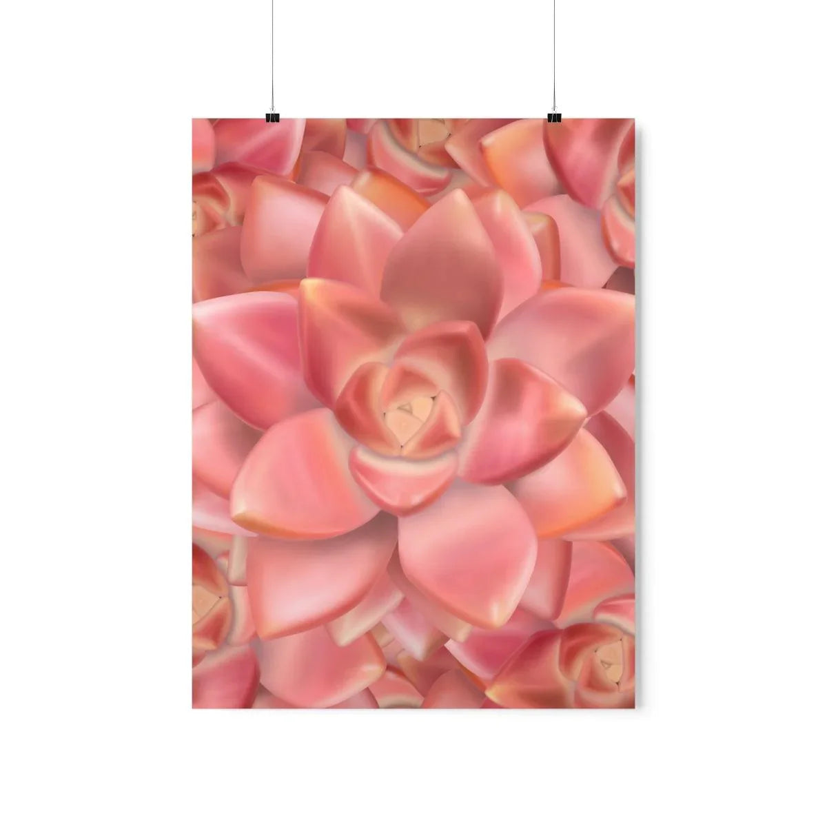 Graptosedum California Sunset Succulent Pattern Botanical Print – Unframed Wall Art