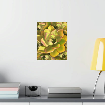 Noble Aeonium Succulent Pattern Botanical Print – Unframed Wall Art