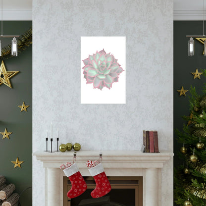 Echeveria Violet Queen Succulent Botanical Print – Unframed Wall Art