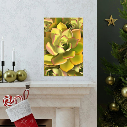 Noble Aeonium Succulent Pattern Botanical Print – Unframed Wall Art