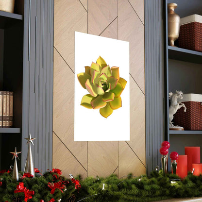 Noble Aeonium Succulent Botanical Print – Unframed Wall Art