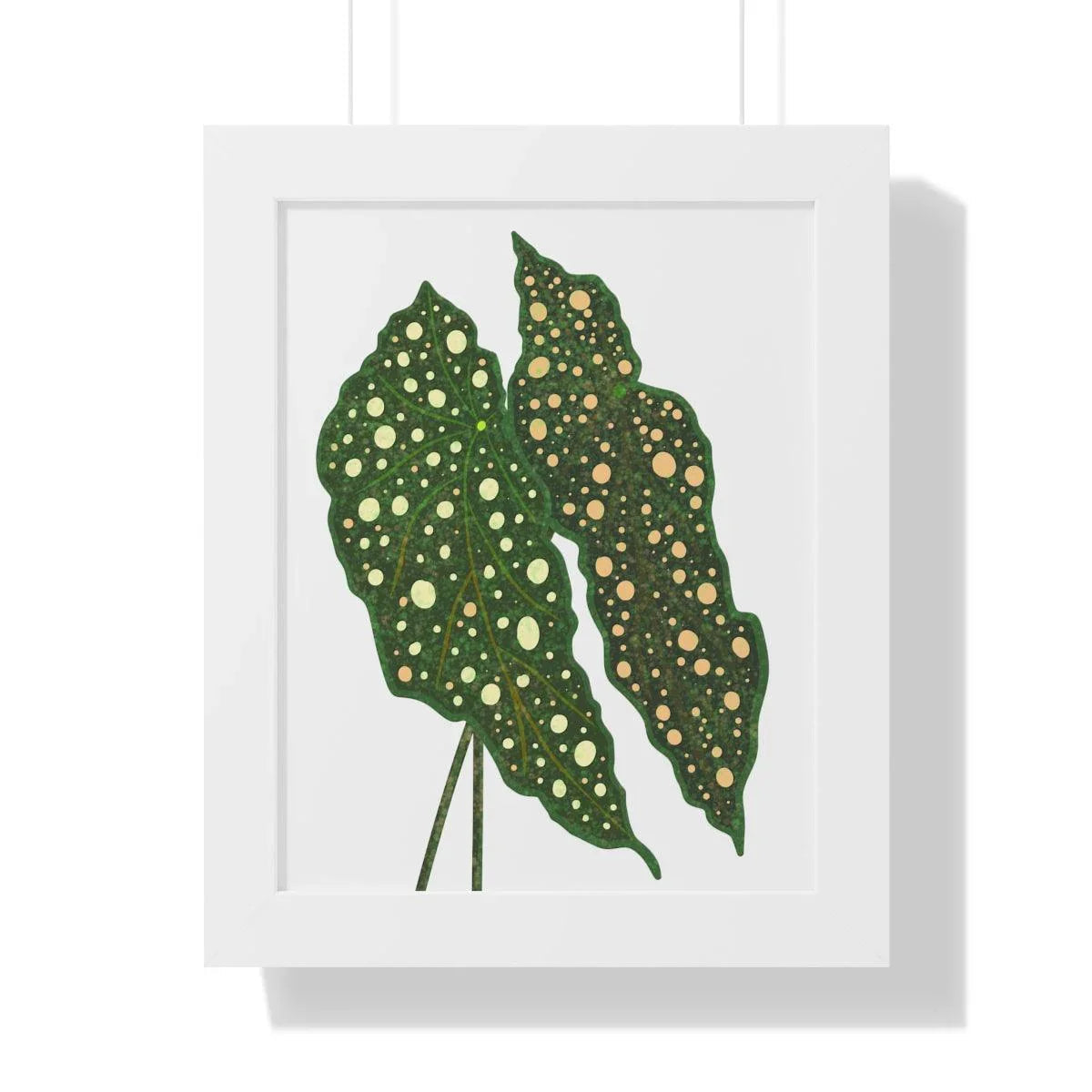 Begonia Maculata Framed Print – Botanical Wall Art