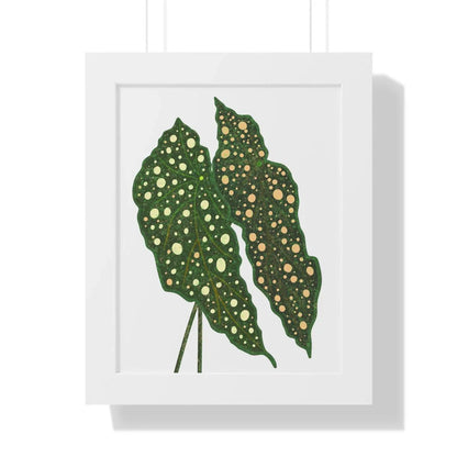 Begonia Maculata Framed Print – Botanical Wall Art