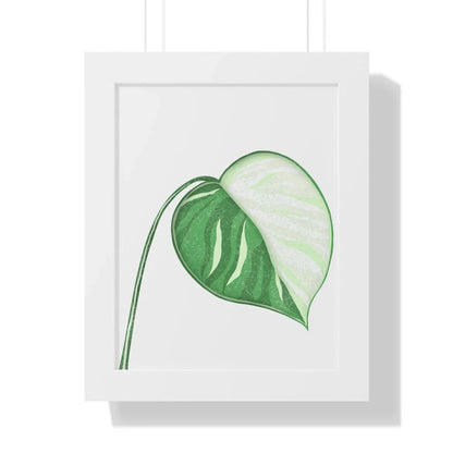 Monstera Albo Illustrated Framed Print – Botanical Wall Art