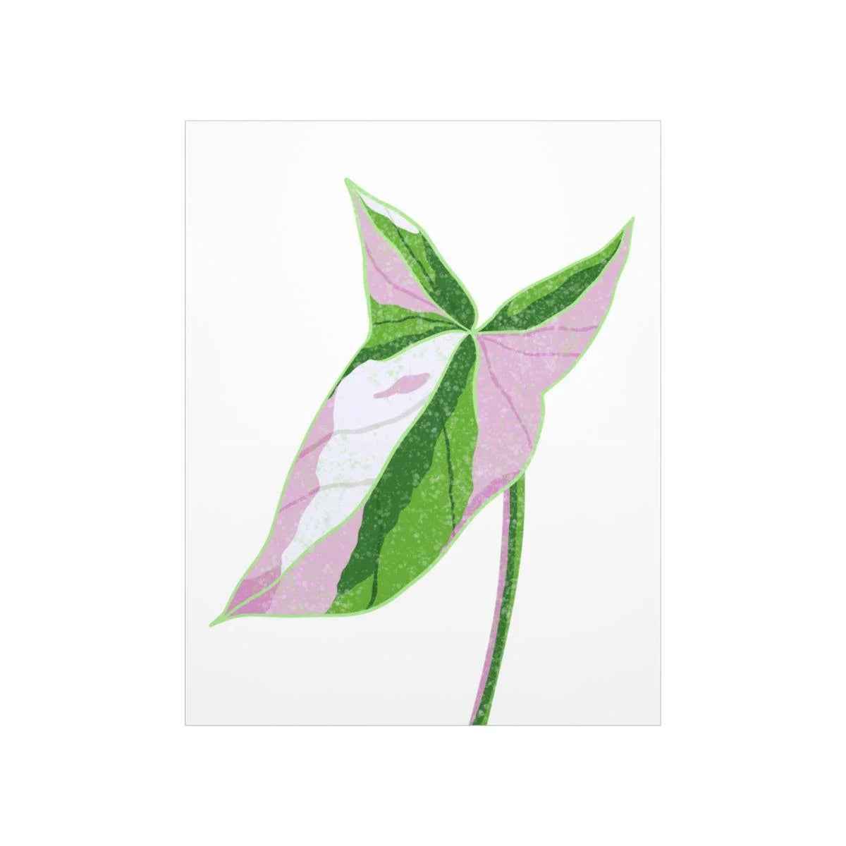 Syngonium Tricolor Botanical Print – Unframed Wall Art