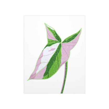 Syngonium Tricolor Botanical Print – Unframed Wall Art