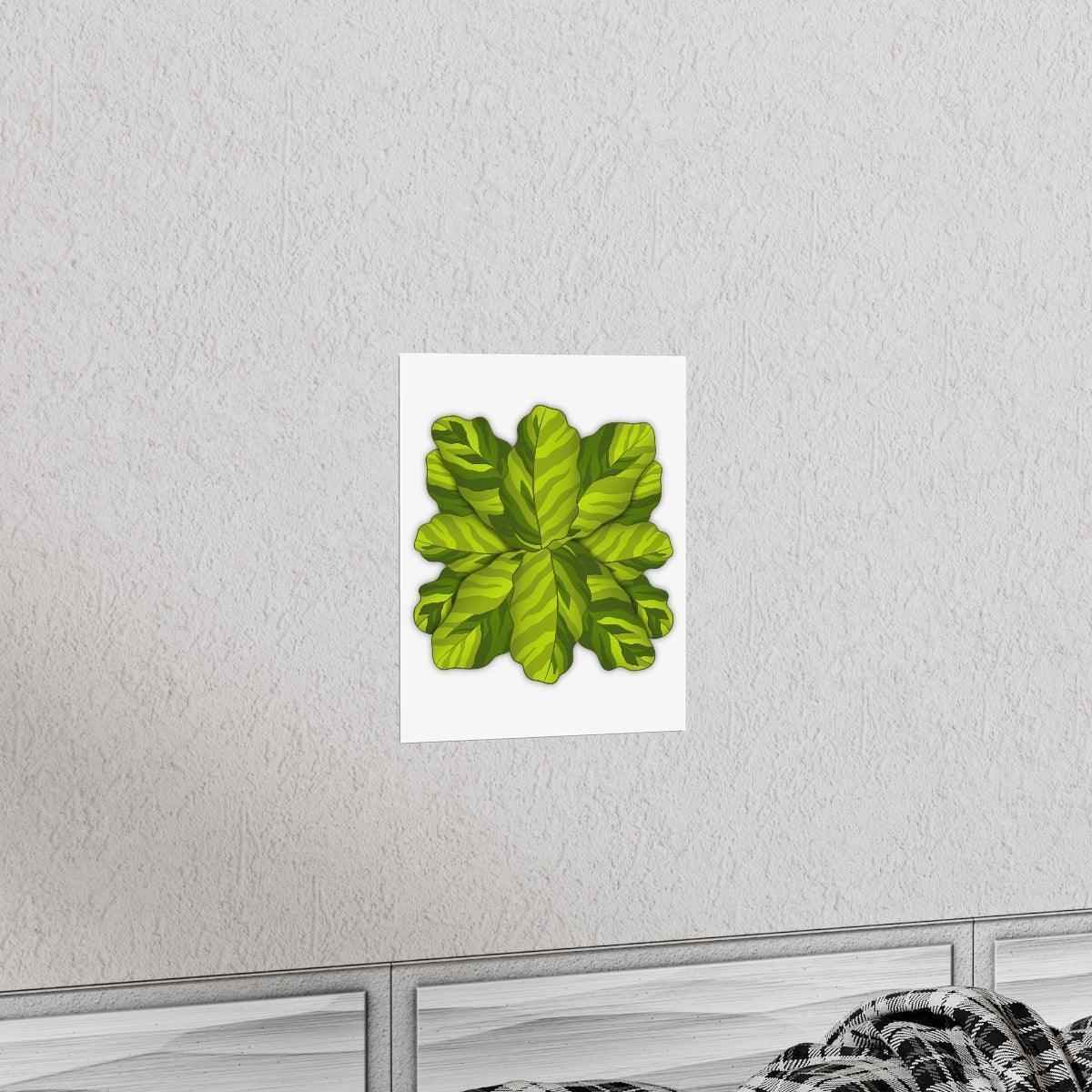 Calathea Yellow Fusion Botanical Print – Unframed Wall Art