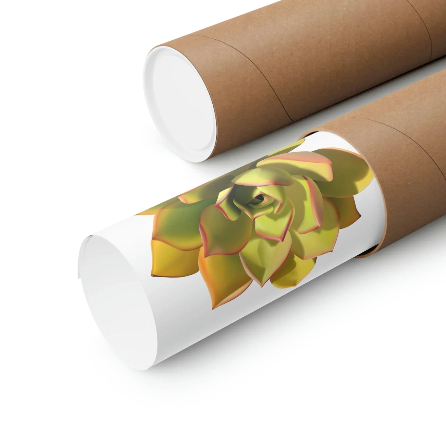 Noble Aeonium Succulent Botanical Print – Unframed Wall Art