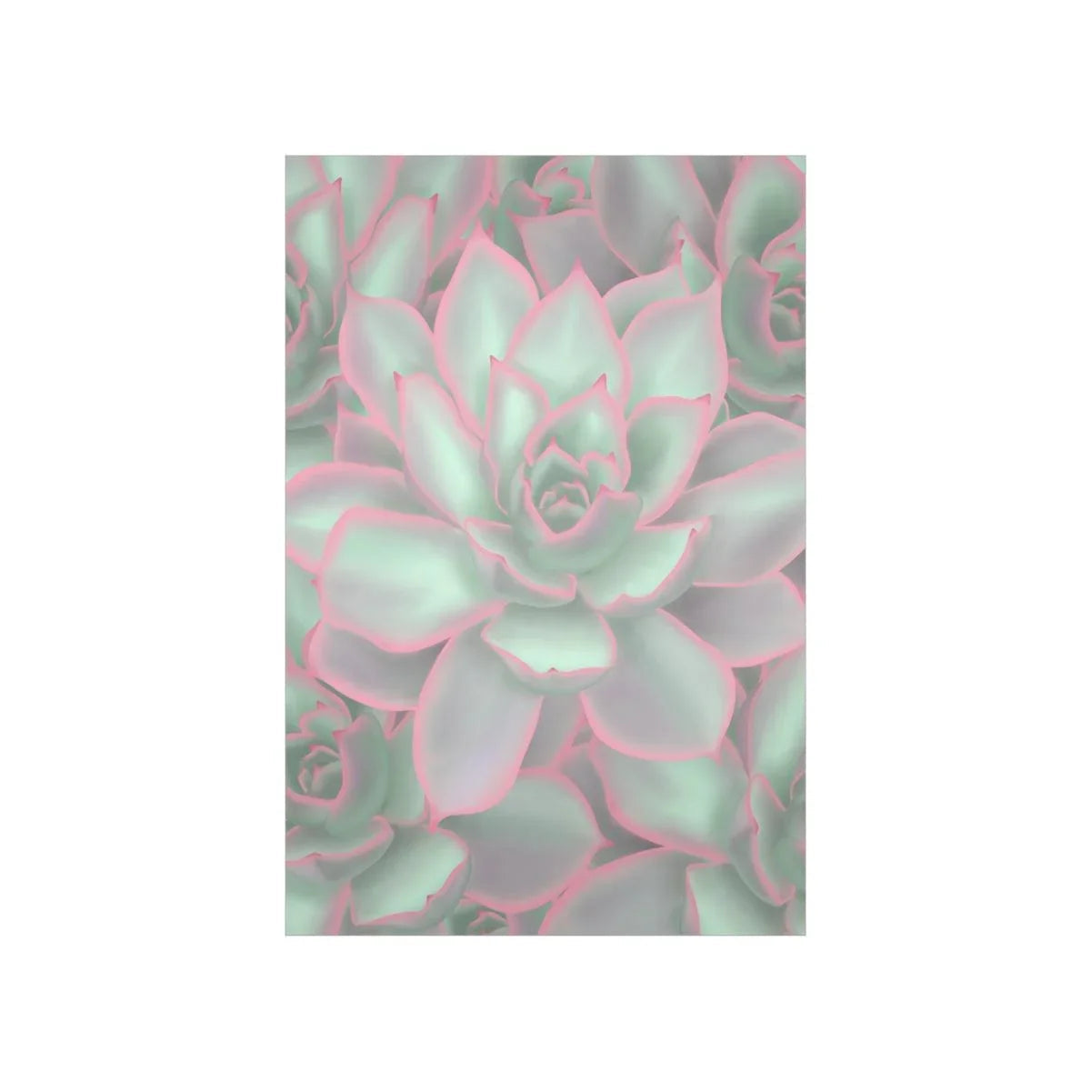 Echeveria Violet Queen Succulent Pattern Botanical Print – Unframed Wall Art