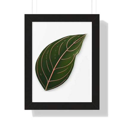 Aglaonema Rotundum Framed Print – Botanical Wall Art