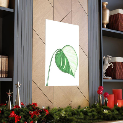 Monstera Albo Botanical Print – Unframed Wall Art