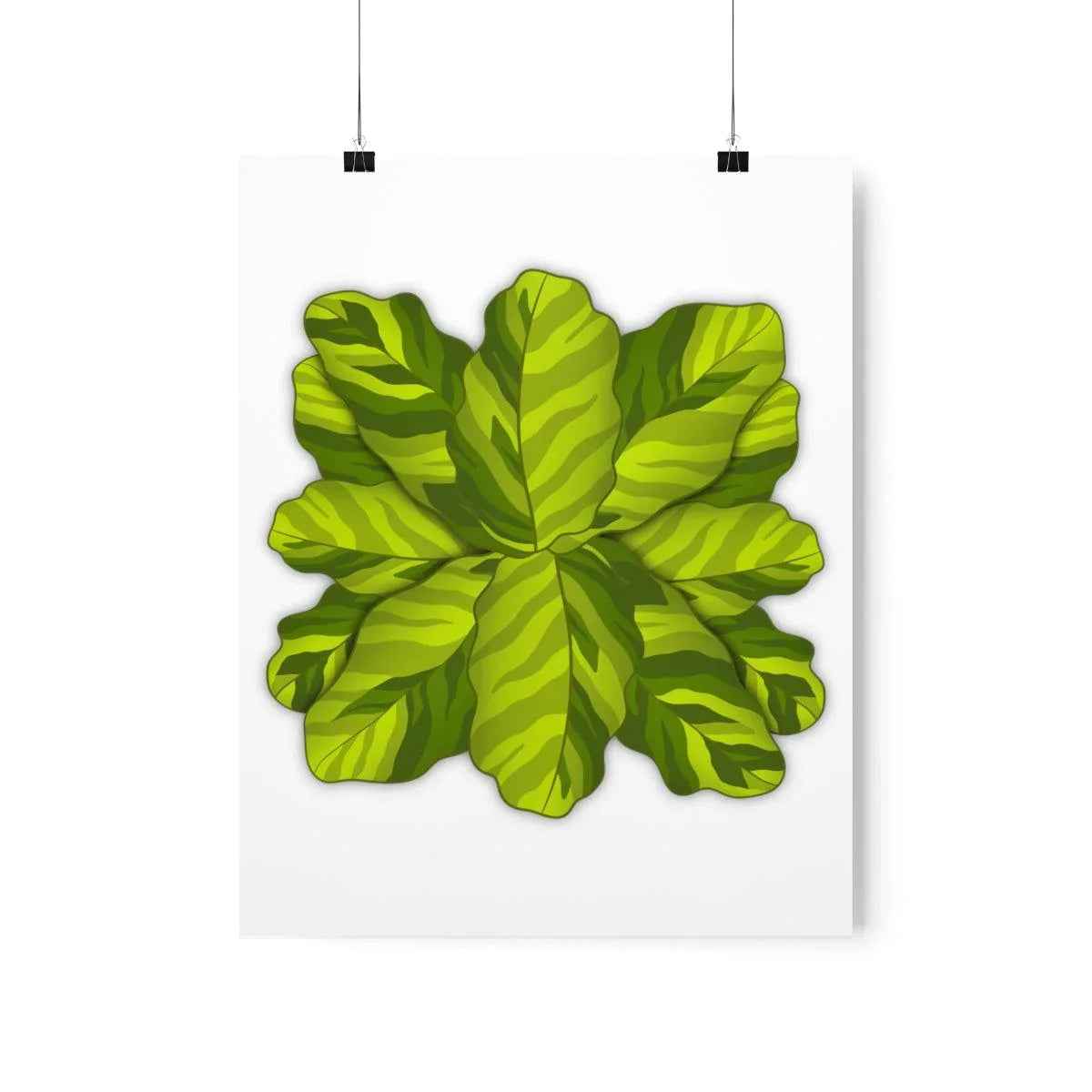 Calathea Yellow Fusion Botanical Print – Unframed Wall Art