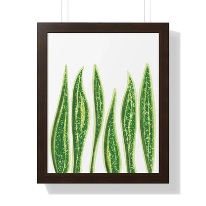 Snake Plant Framed Print – Botanical Wall Art