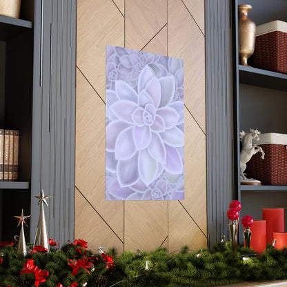 Graptopetalum Murasaki Succulent Pattern Botanical Print – Unframed Wall Art