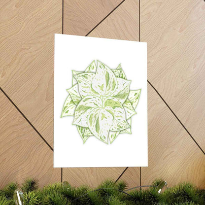 Snow Queen Pothos Botanical Print – Unframed Wall Art