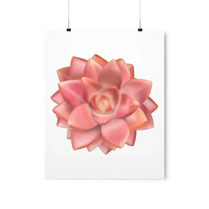 Graptosedum California Sunset Succulent Botanical Print – Unframed Wall Art