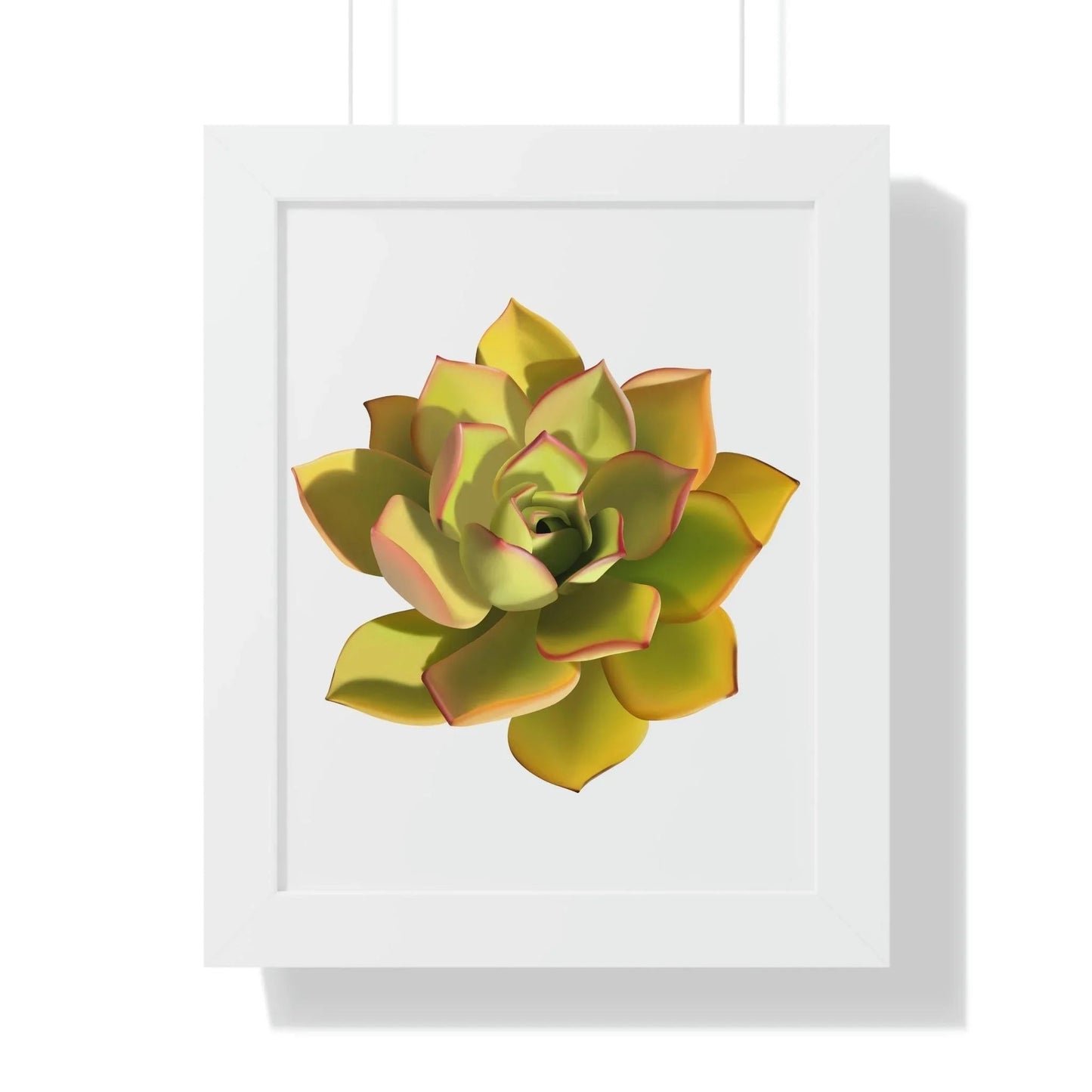 Noble Aeonium Succulent Framed Print – Botanical Wall Art