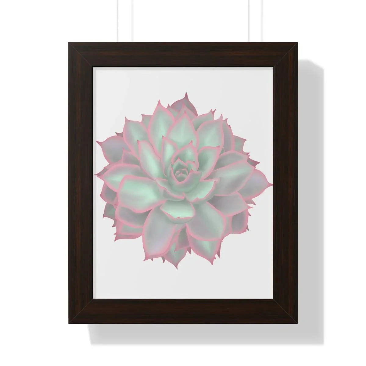 Echeveria Violet Queen Succulent Framed Print – Botanical Wall Art