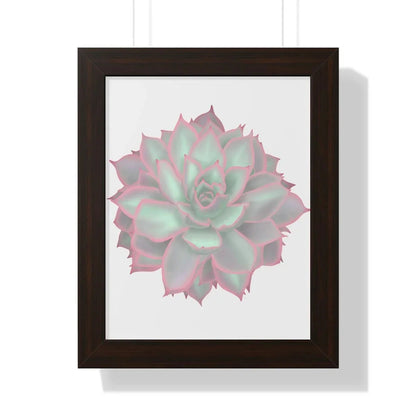 Echeveria Violet Queen Succulent Framed Print – Botanical Wall Art