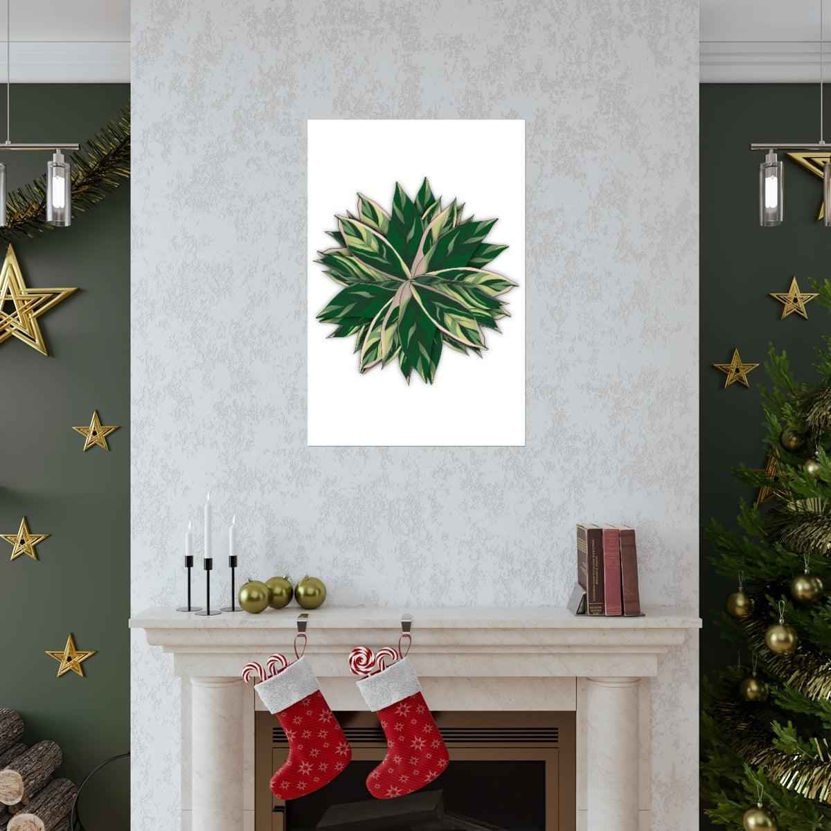 Stromanthe Triostar Botanical Print – Unframed Wall Art