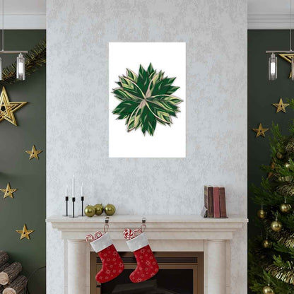 Stromanthe Triostar Botanical Print – Unframed Wall Art