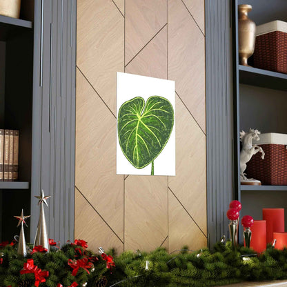 Philodendron Gloriosum Botanical Print – Unframed Wall Art
