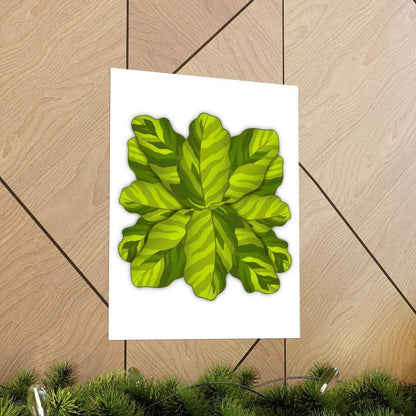 Calathea Yellow Fusion Botanical Print – Unframed Wall Art
