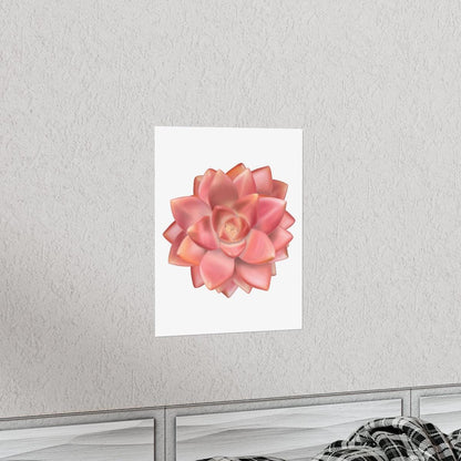 Graptosedum California Sunset Succulent Botanical Print – Unframed Wall Art