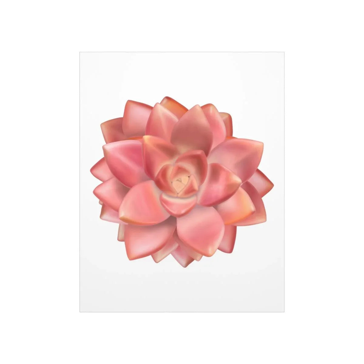 Graptosedum California Sunset Succulent Botanical Print – Unframed Wall Art