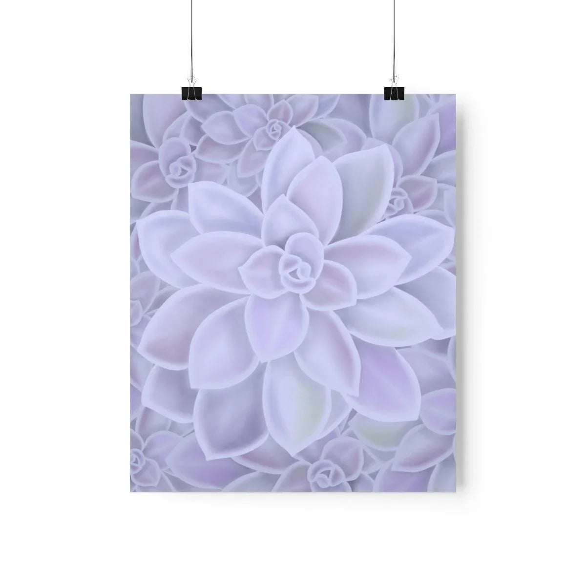 Graptopetalum Murasaki Succulent Pattern Botanical Print – Unframed Wall Art