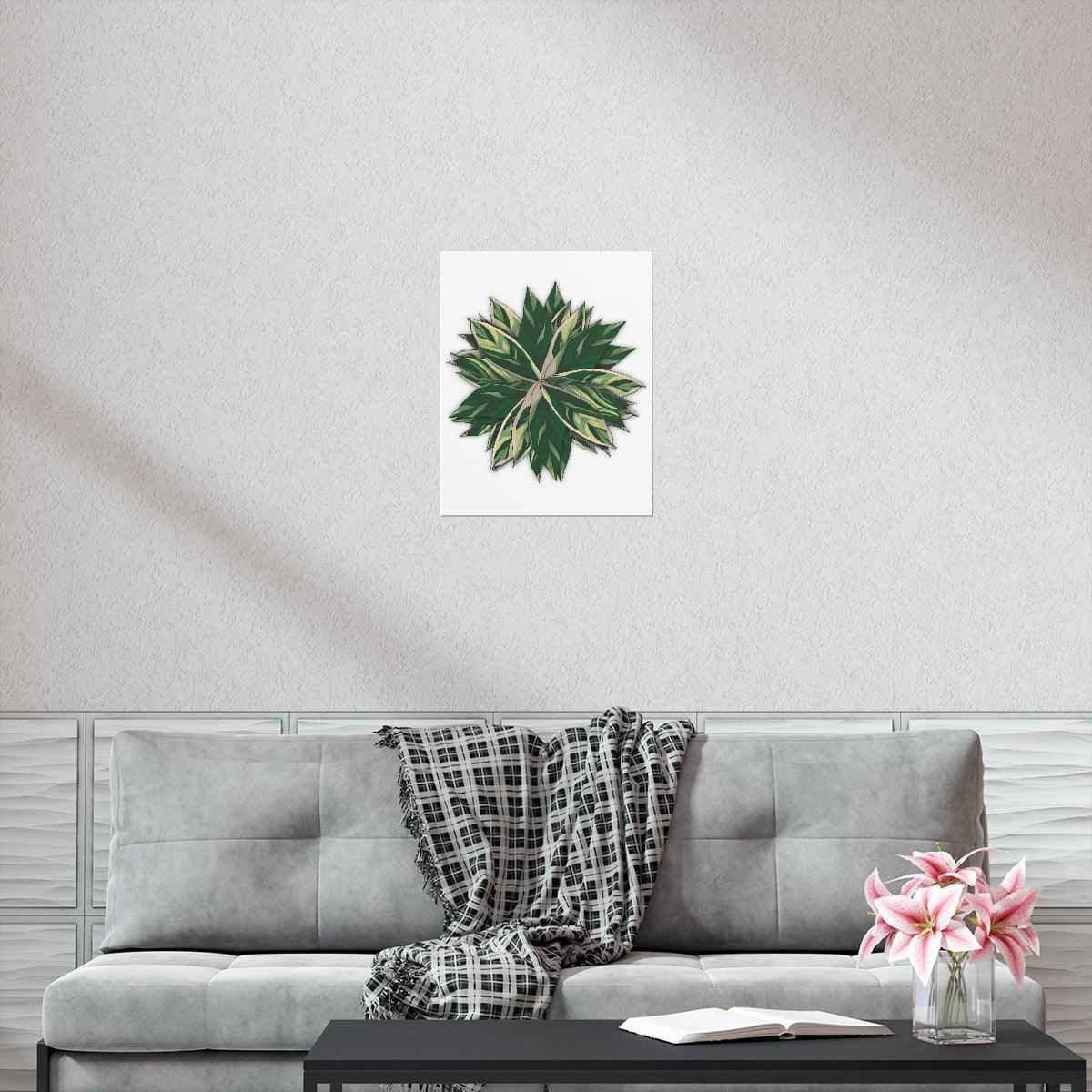 Stromanthe Triostar Botanical Print – Unframed Wall Art
