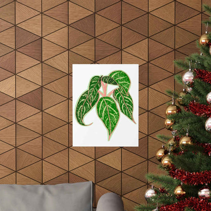 Aglaonema Sparkling Sarah Botanical Print – Unframed Wall Art