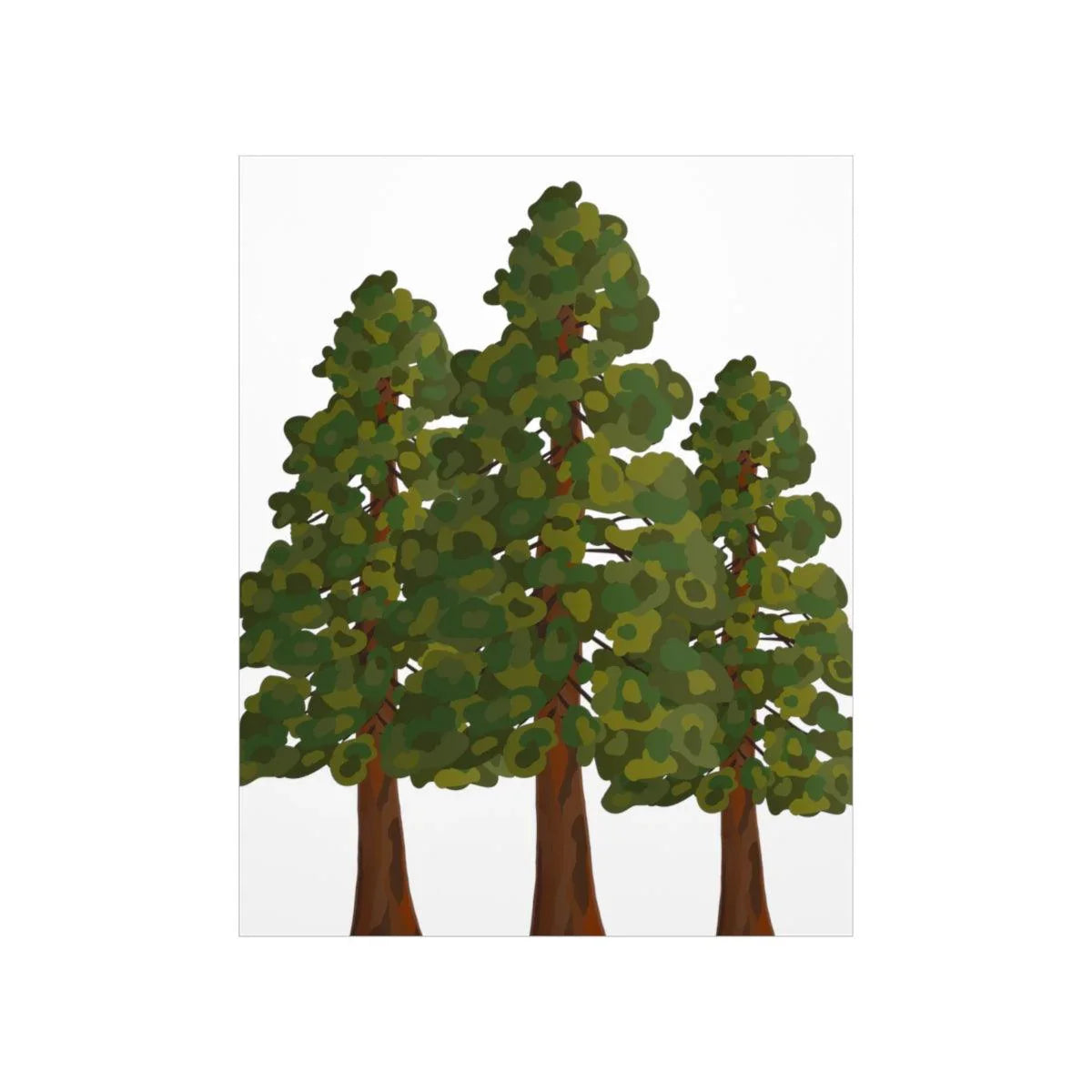 Coastal Redwood Print – Unframed Wall Art