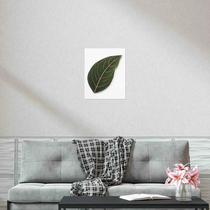 Aglaonema Rotundum Botanical Print – Unframed Wall Art