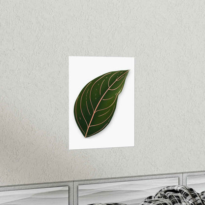 Aglaonema Rotundum Botanical Print – Unframed Wall Art