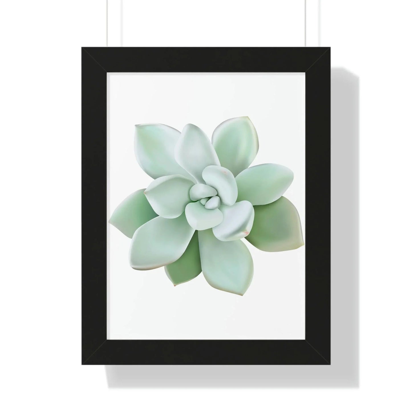 Pachyveria Haagei Succulent Framed Print – Botanical Wall Art