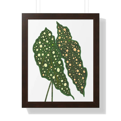 Begonia Maculata Framed Print – Botanical Wall Art